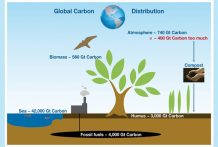 This is how Carbon Farming works
